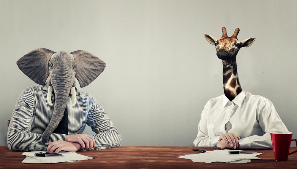 Savoir pitcher : un essentiel pour briller — zoom sur la formation incontournable